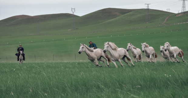 image009 (2).jpg image009 (2).jpg