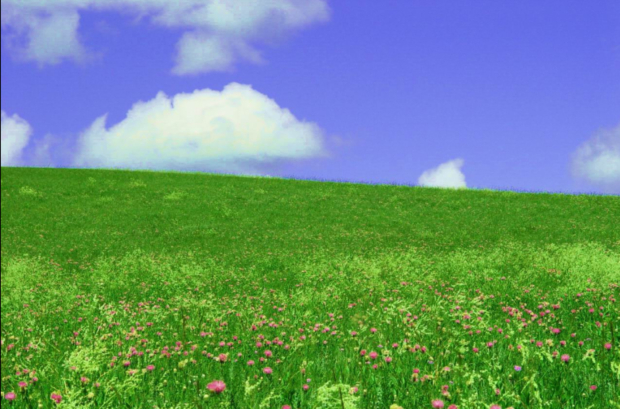 image021.jpg image021.jpg