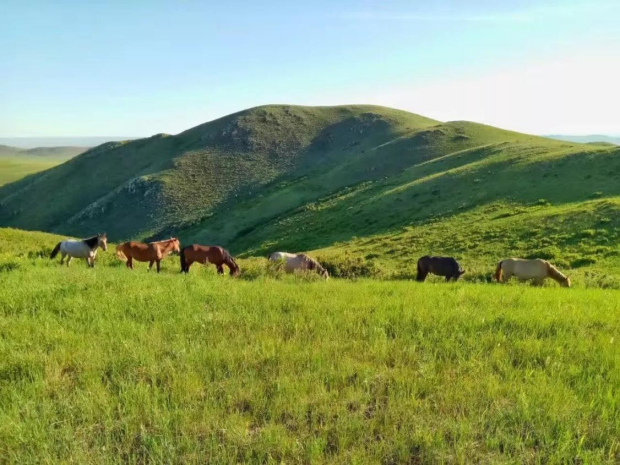 image023 (2).jpg image023 (2).jpg