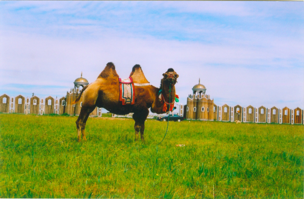 image033 (2).jpg image033 (2).jpg