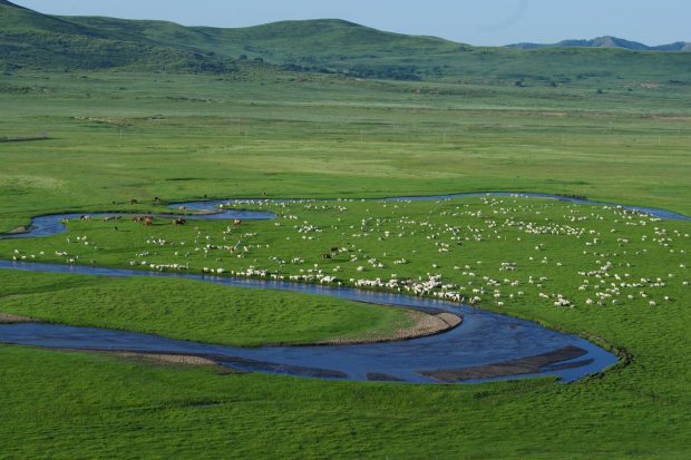 image037 (2).jpg image037 (2).jpg