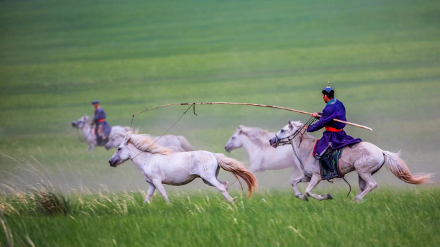 image041 (2).jpg image041 (2).jpg