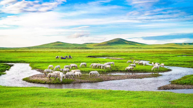 image043 (2).jpg image043 (2).jpg