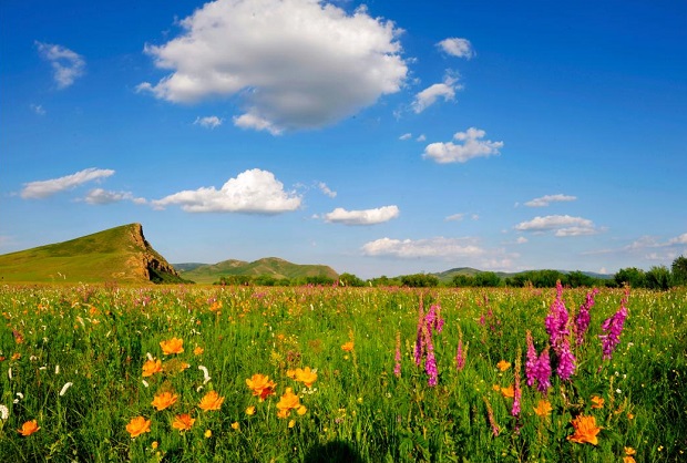 image051 (2).jpg image051 (2).jpg