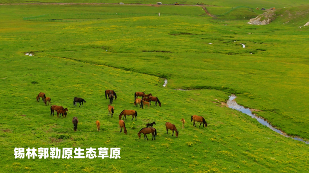 ���ֹ���ԭ��̬��ԭ (2).jpg